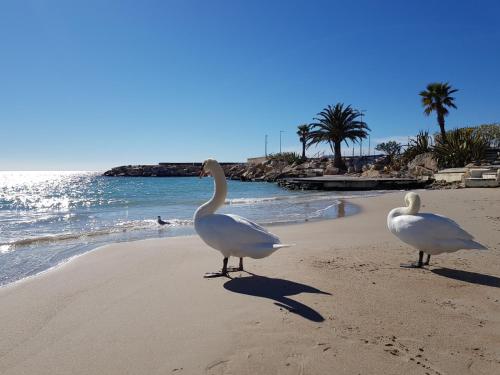 Appartement Cannes 3 pièces 4 personnes - FR-1-470-1 - image 10