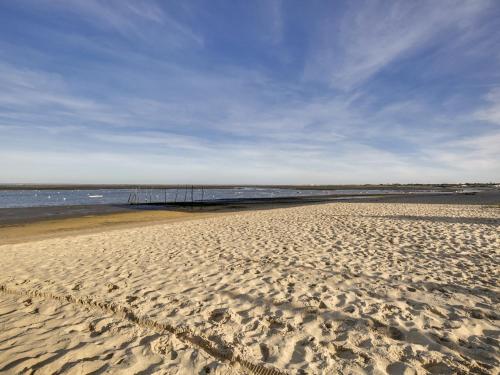 Appartement Arcachon, 2 pièces, 4 personnes - FR-1-474-19 - Location saisonnière - Arcachon