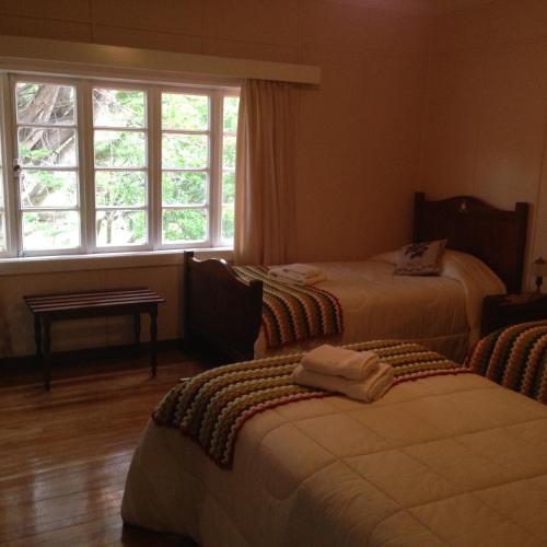1 king bed, 1 double bed