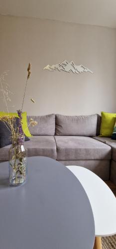 Pine Tree Apartment / Borovets Gardens, Borovec (fotografie 8)