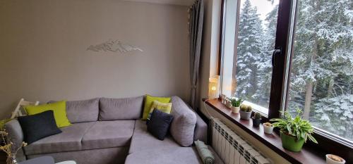 Pine Tree Apartment / Borovets Gardens, Borovec (fotografie 7)
