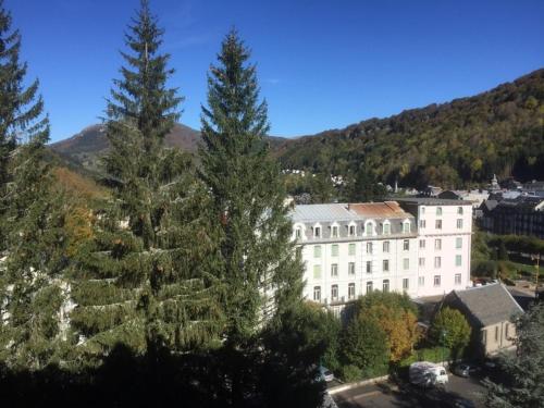 Appartement Mont-Dore 2 pièces 4 personnes - FR-1-415-39 - image 13
