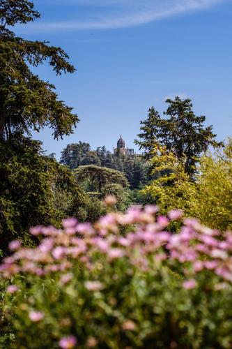 Cottage provencal - Villa saint Marc