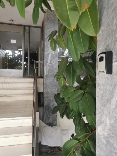Viesnīcas āriene, Efrosini's by the sea apartment in Chalkida (Chalcis)