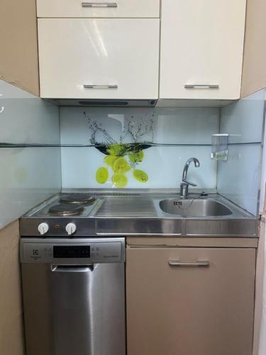 Ring Apartment, Tirana (photo 10)