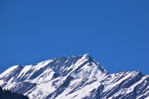 景觀