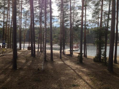 Oksa Home Accommodation in Voru
