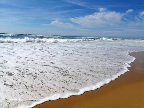 Maison Seignosse 3 pièces 6 personnes - FR-1-239-83 - image 4