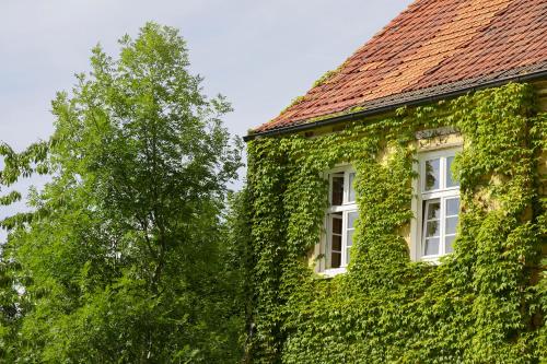 Gutshauszimmer Premium Doppel in Neu Gaarz