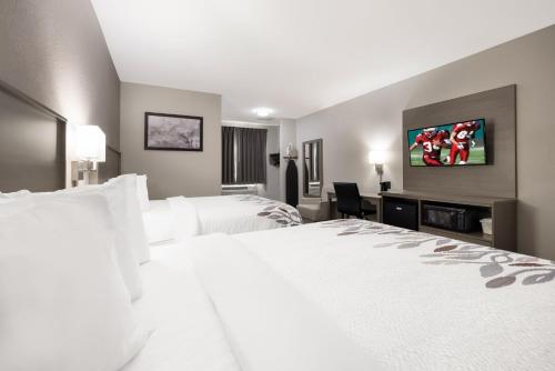 Days Inn by Wyndham Weedsport - image 2