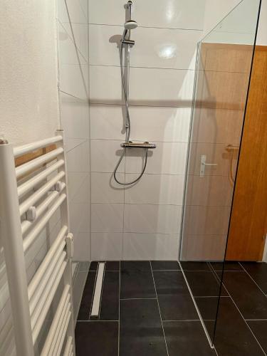 Duša, bee Apartment: Ideal für Gruppen & Monteure (bee Apartment: Ideal fur Gruppen & Monteure) in Lahnau