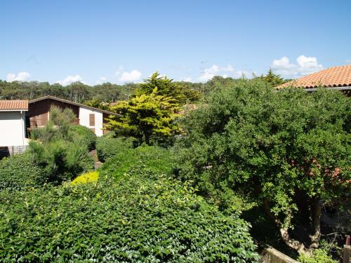 Maison Seignosse 2 pièces 4 personnes - FR-1-239-421 - image 3