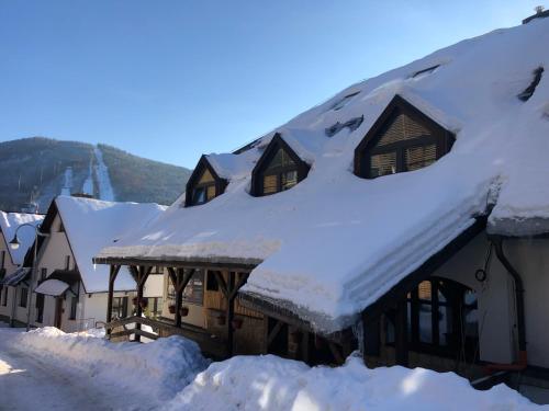 GRAND HARRACHOV PENSION in Harrachov