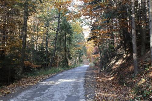 Willa na Plażowej Willa na Plażowej