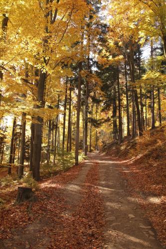 Willa na Plażowej Willa na Plażowej
