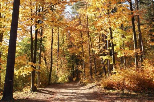 Willa na Plażowej Willa na Plażowej