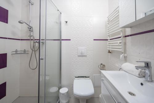 Apartament 38 i 37 Okrzei 1c, Szklarska Poręba (photo 4)