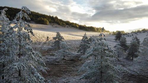 Previja Zlatibor Chalet - image 12