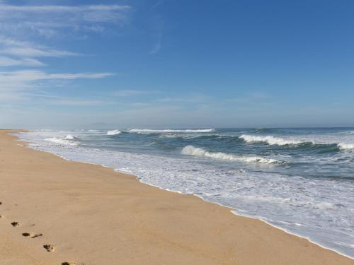 Maison Seignosse 1 pièce 5 personnes - FR-1-239-394 - image 6