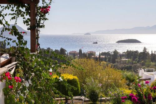 House with Sea View and Shared Pool in Bodrum