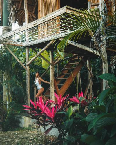 Samana Ecolodge Samana Ecolodge