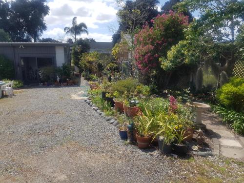 Hosts on the Coast Unwind on Waimaire