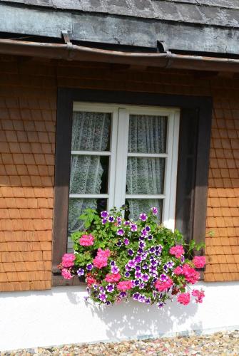 Hotel Zum Lowen - Unteres Wirtshaus