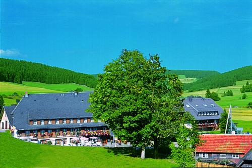 Hotel Zum Lowen - Unteres Wirtshaus Titisee-Neustadt