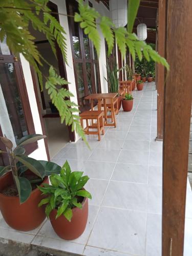 Rosella Cottage - Homestay - Kitchen Yogyakarta photo 3