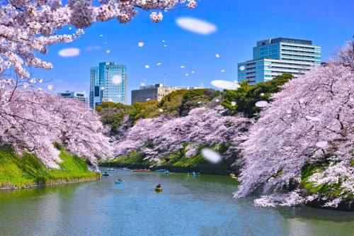 Hotel Owl Tokyo Shinbashi