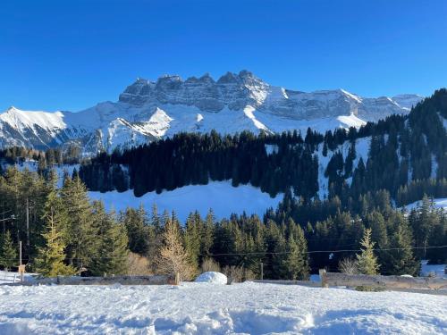 Mountain River Appart in Val dʼIlliez, Schweiz