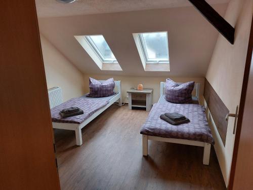 Waldquelle in Plauen