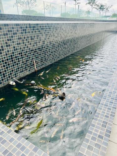 EVO Soho NinsHomestay Bangi - image 14