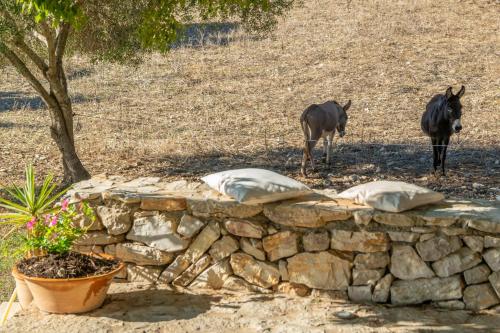Son Esquerrà Son Esquerrà