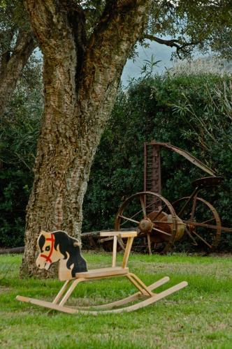 Agriturismo Monte Argentario - image 6