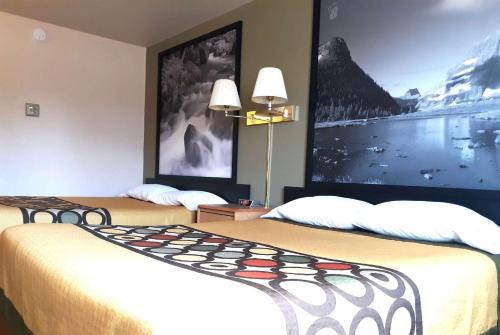 Super 8 by Wyndham Hamilton, Hamilton (foto 5)