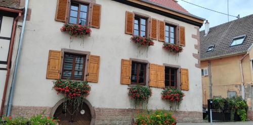 Gîte À l'aigle de sable - Apartment - Kintzheim