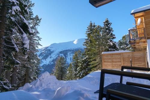 Okolí, Luxalps- Turrach Alm Chalets Nr 1-4 Grünsee- Sauna- Skifahren- Wandern- Natur (Luxalps- Turrach Alm Chalets Nr 1-4 Grunsee- Sauna- Skifahren- Wandern- Natur) in Turracher Hohe