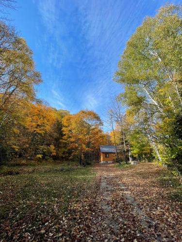 Joy's Chalet - Hottub, Lake, & Cottage