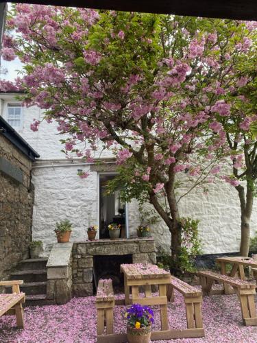 The White House at The Tinners Arms Towednack