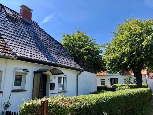 Appartement Ostseemuschel - Saal