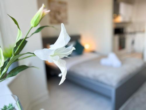 Picture of 1Bd Glasgow Apartment