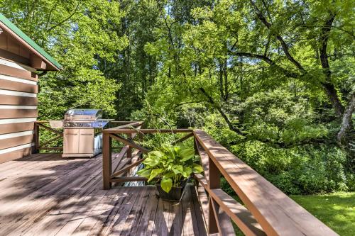 Black Mountain Cabin with Screend Porch and Scenic View - image 13