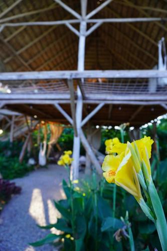 Samana Ecolodge Samana Ecolodge