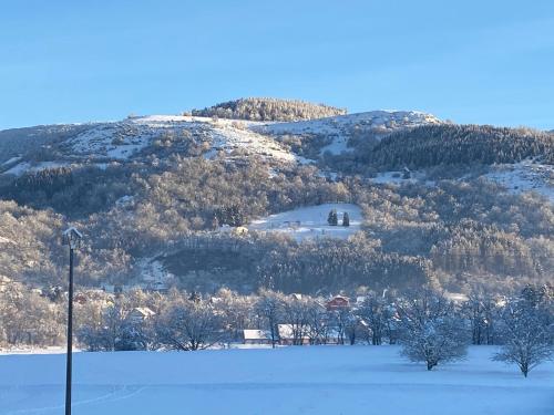 Apkārtne, Chez Nono in Husseren-Wesserling