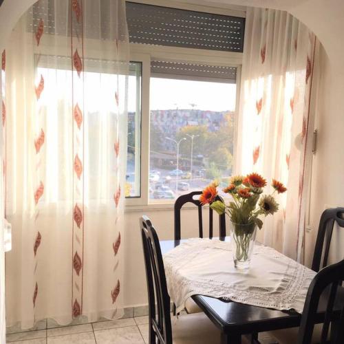 Cozy 1BR Apartment Feel Like Home