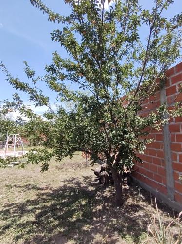 Cabañas Mundo al revés