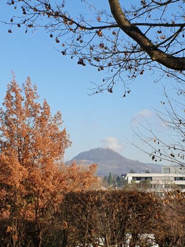 สภาพแวดล้อมโดยรอบ, Zimmer Hohbuch mit Achalmblick in รอยท์ลิงเงิน