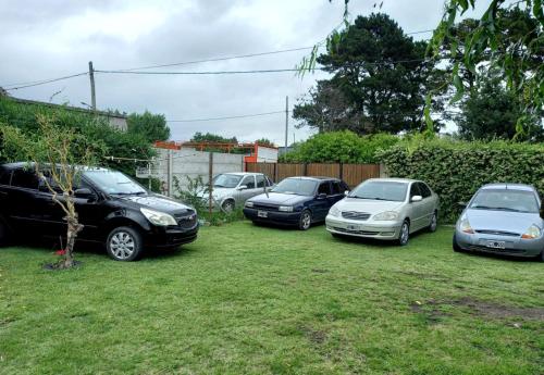 Complejo Las Palmeras