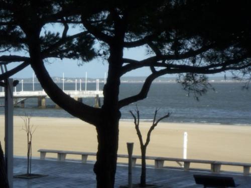 Appartement Arcachon, 3 pièces, 4 personnes - FR-1-374-71